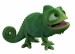 tangled-pascal